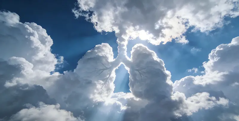 安顺肺癌8基因突变检测（组织）图片1